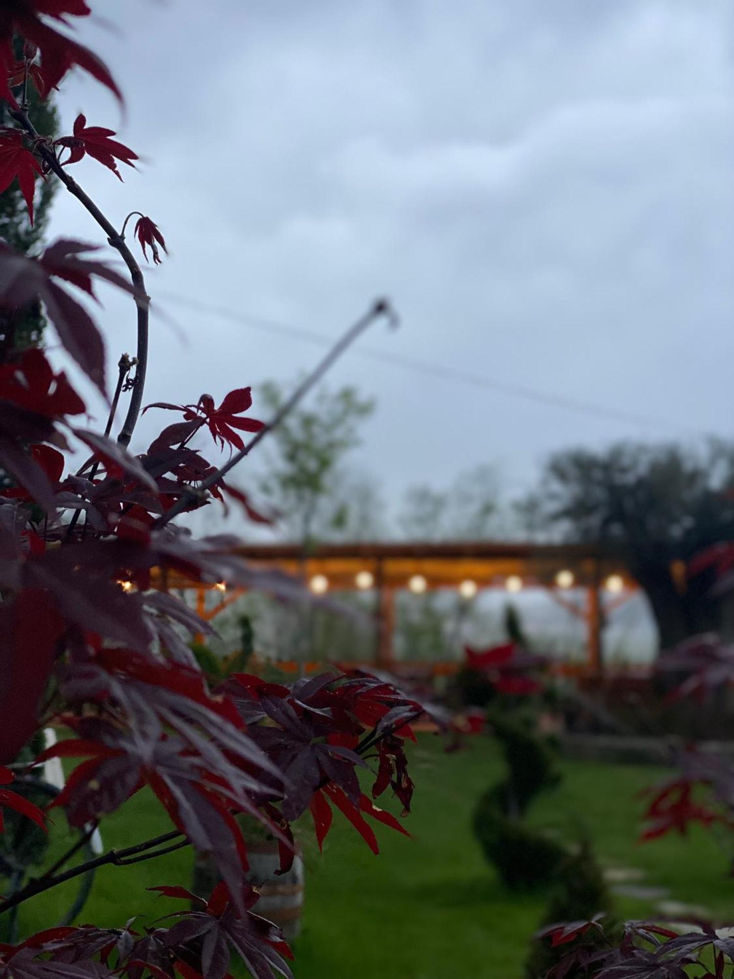 Hotel Restaurant Natyra E Qete Lezhë Exteriér fotografie